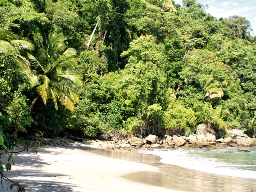 Manuel Antonio