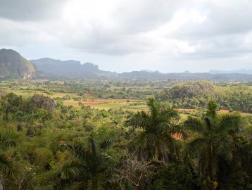 Wonders of the Caribbean