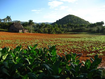 Cuba Crossover - SC Travel Adventures