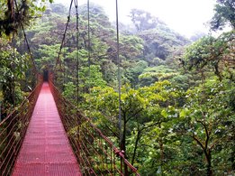 Cloud Forest Reservat Monteverde