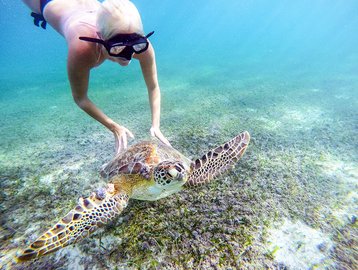 Akumal