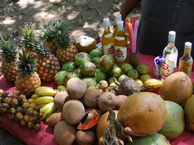 Fruit, Cuba - SC Travel Adventures: Central America