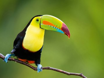 Costa Rica